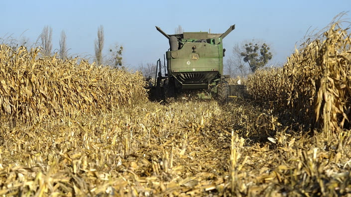 Агрообмеження пішли на другий термін: як Україні повернутися до вільної торгівлі з ЄС